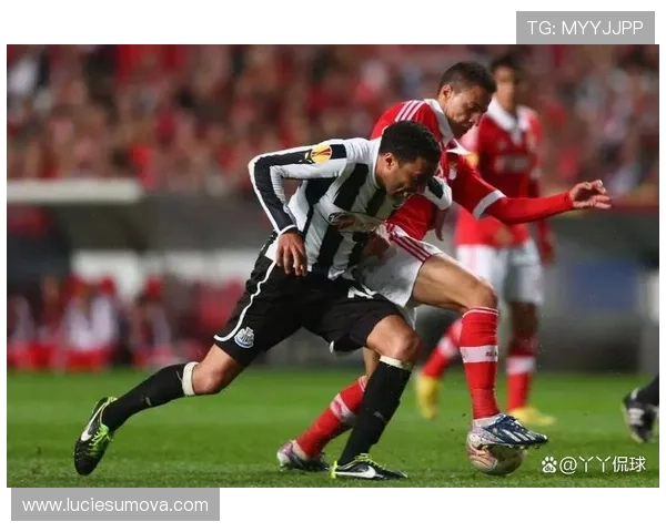 本菲卡球队节奏近期表现稳健，攻防转换效率持续提升