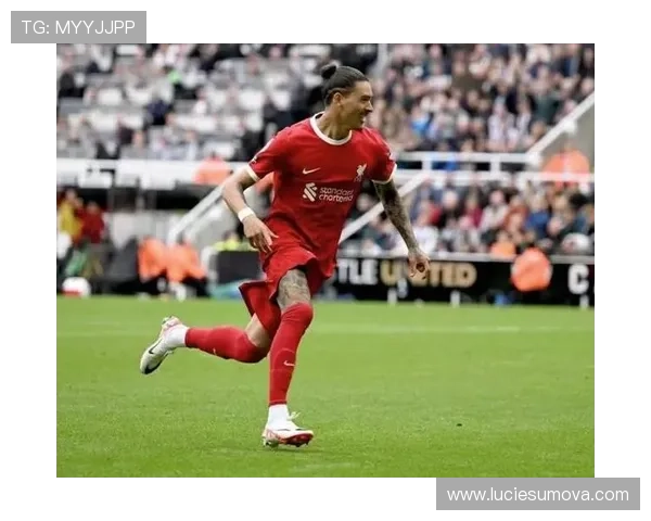 努涅斯生涯轨迹解析：从佩纳罗尔、本菲卡到英超